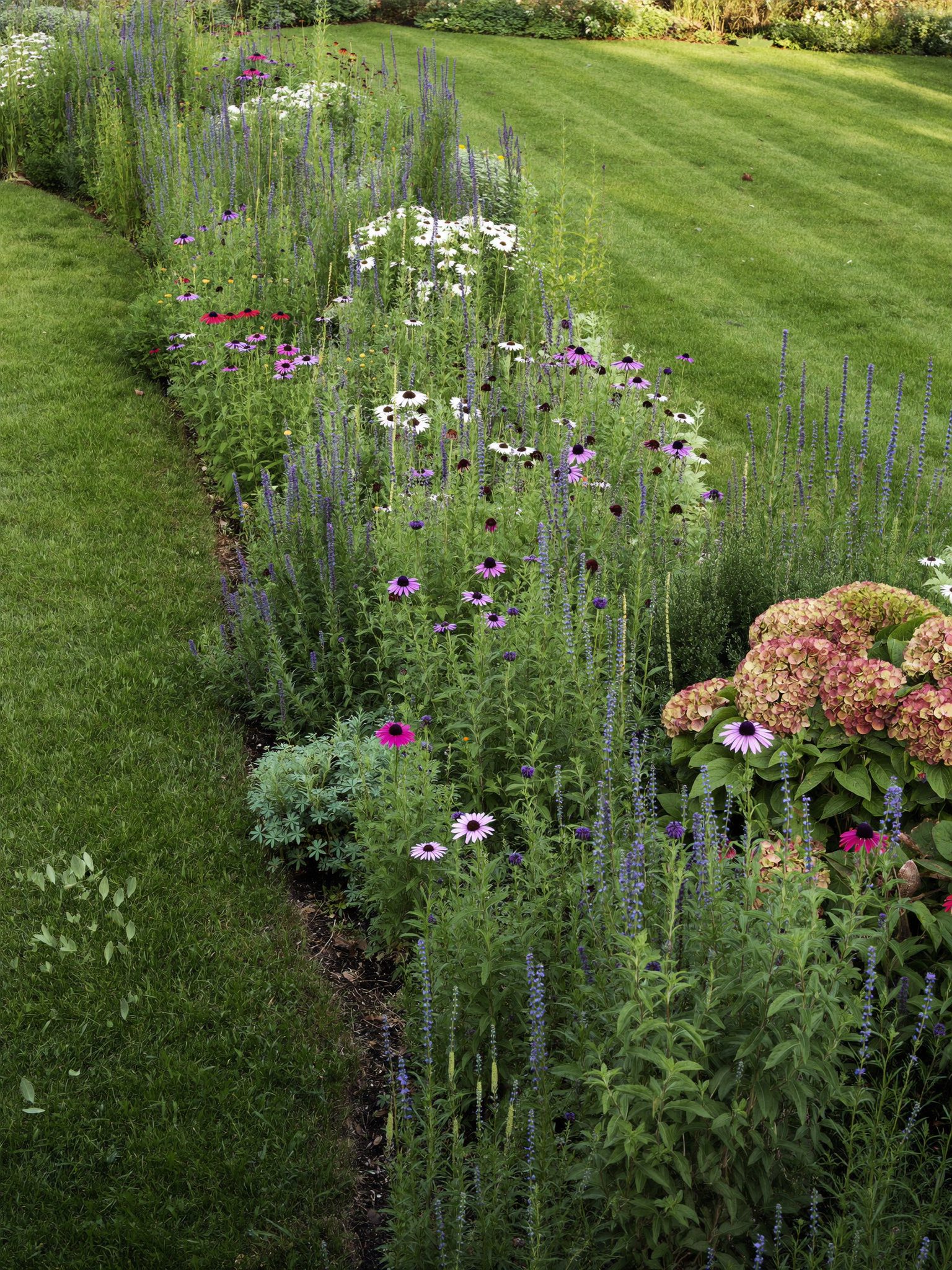 Healthy garden beds and plantings in a Connecticut yard