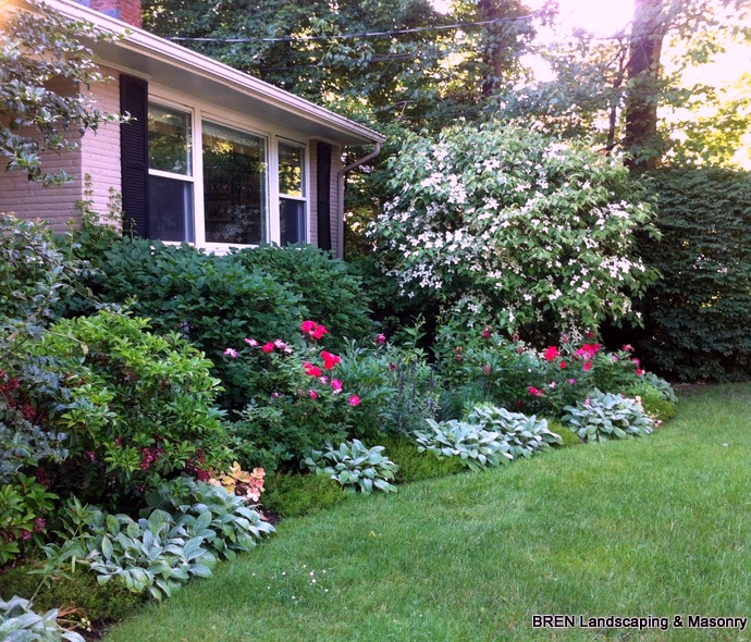 Front garden with peonies, hostas, and shrubs from a BREN planting job